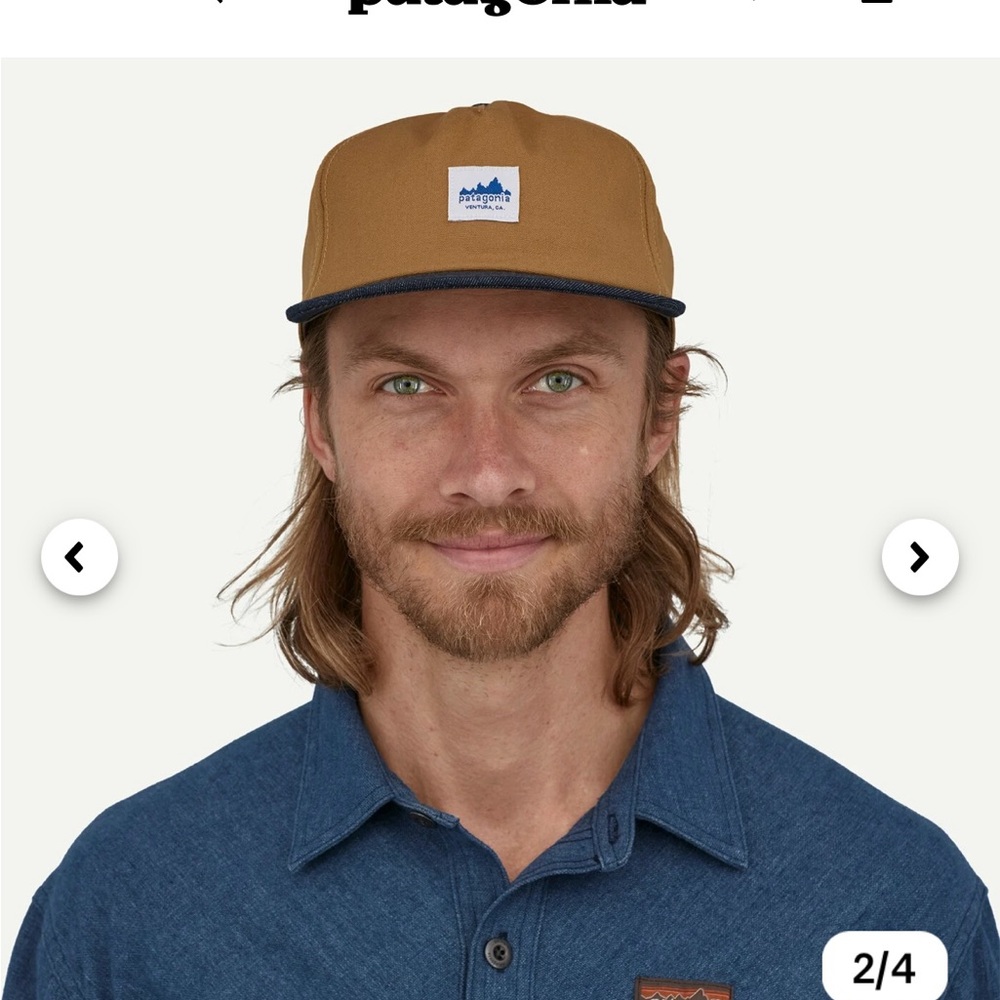 Patagonia nest brown range cap BNWT